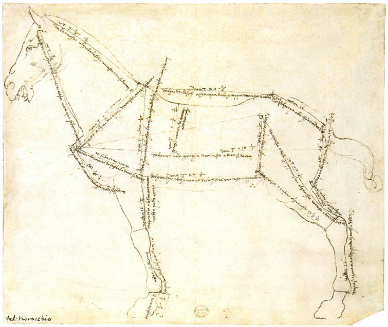 Verrocchio_Horse.png