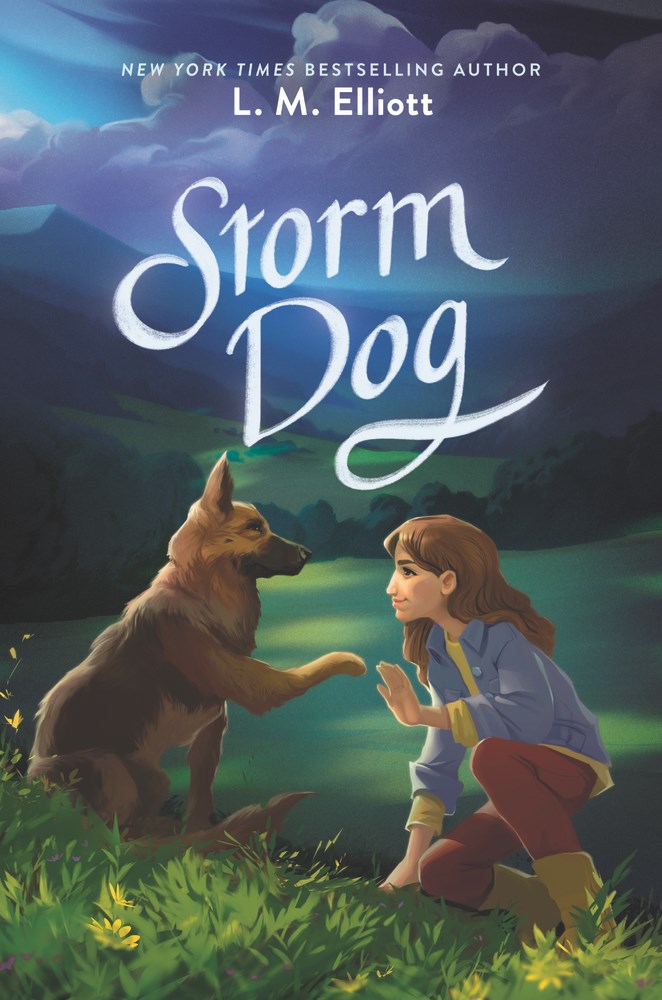 Storm Dog.jpg